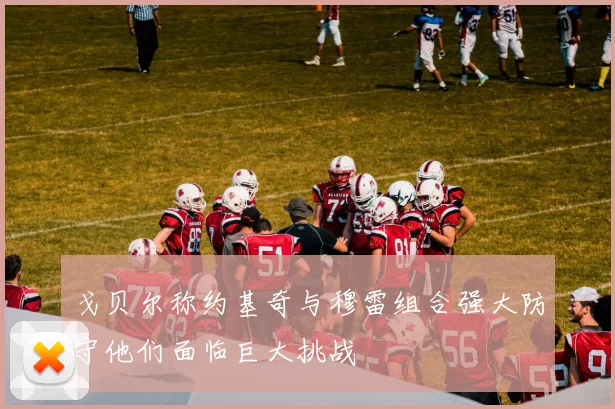 戈贝尔称约基奇与穆雷组合强大防守他们面临巨大挑战